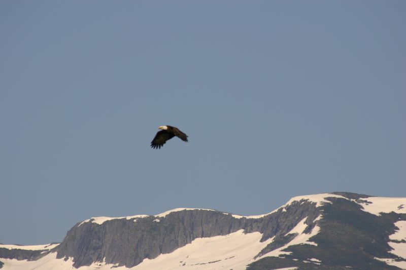 062404 Haines AK (10078)